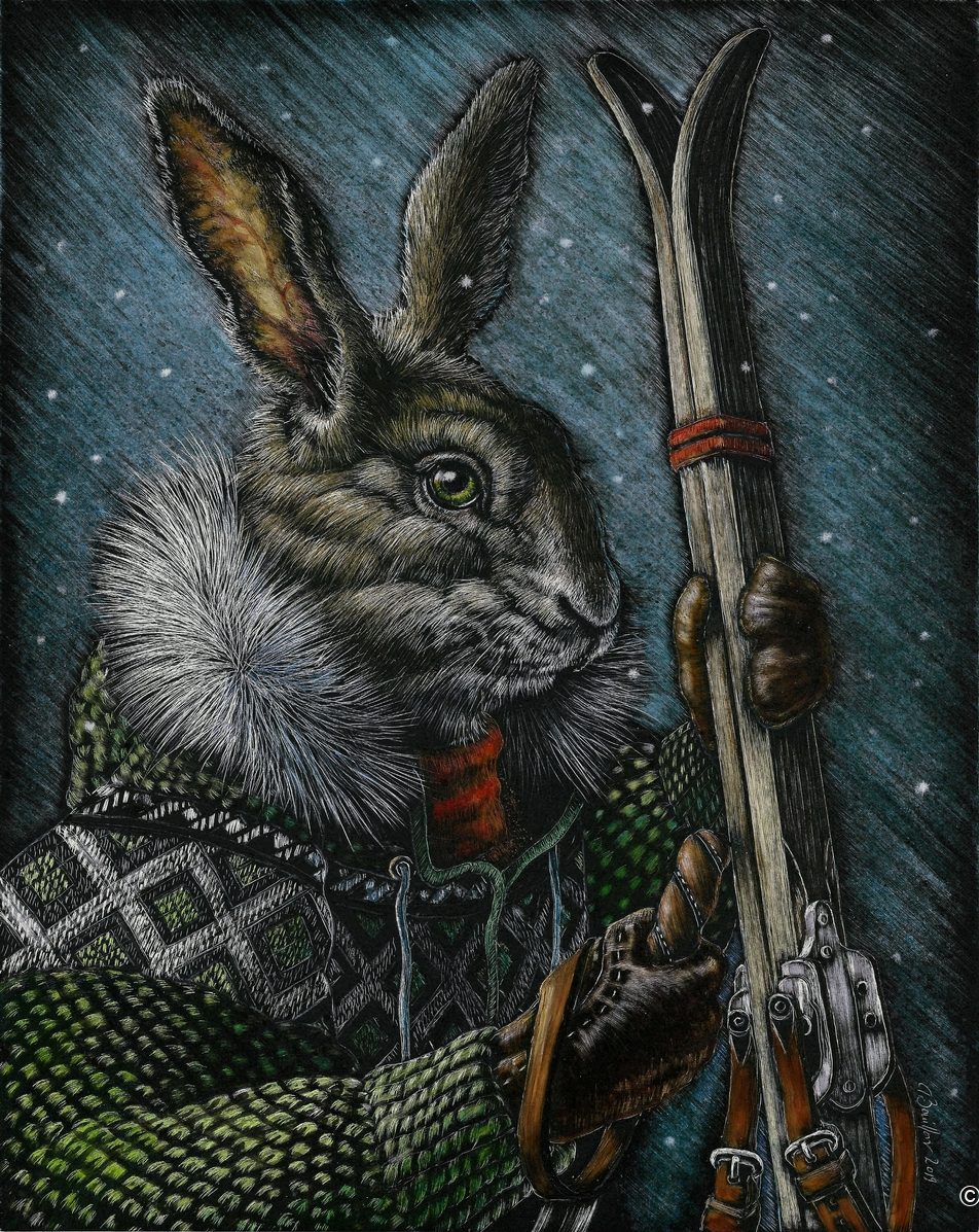 Jack Rabbit